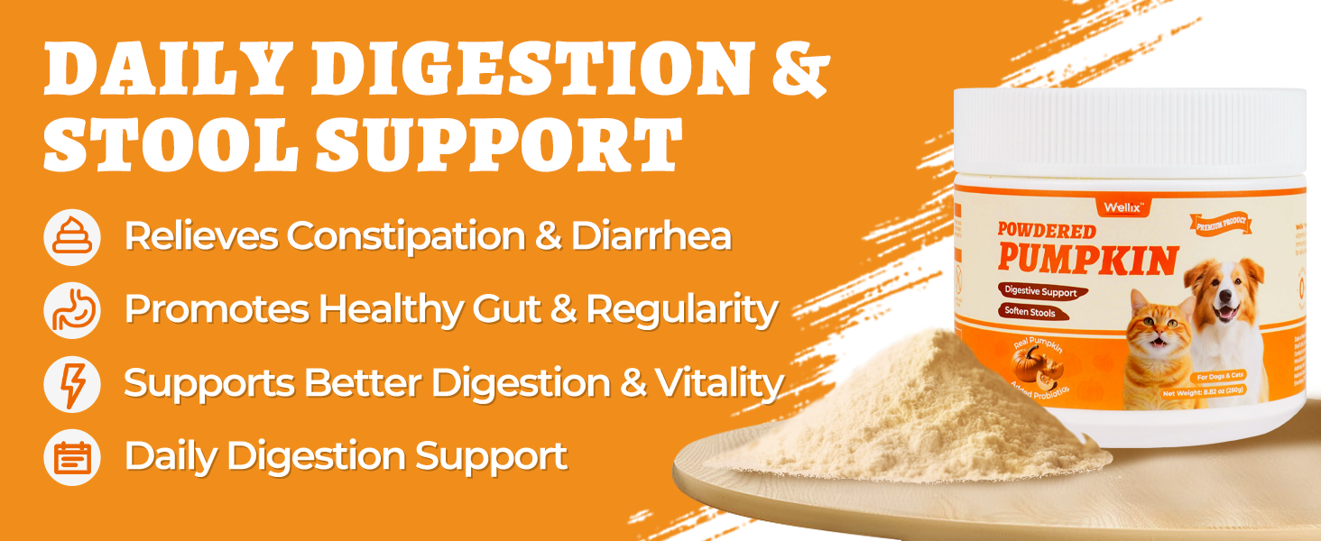 constipation relief for dogs