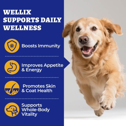 Wellix 10-in-1 Dog Vitamins - Multivitamin Supplement for Immune Support, Hip & Joint, Skin & Coat, Liver & Gut Health - Antioxidant Dog Supplement - 260 Bites-CritterCorner