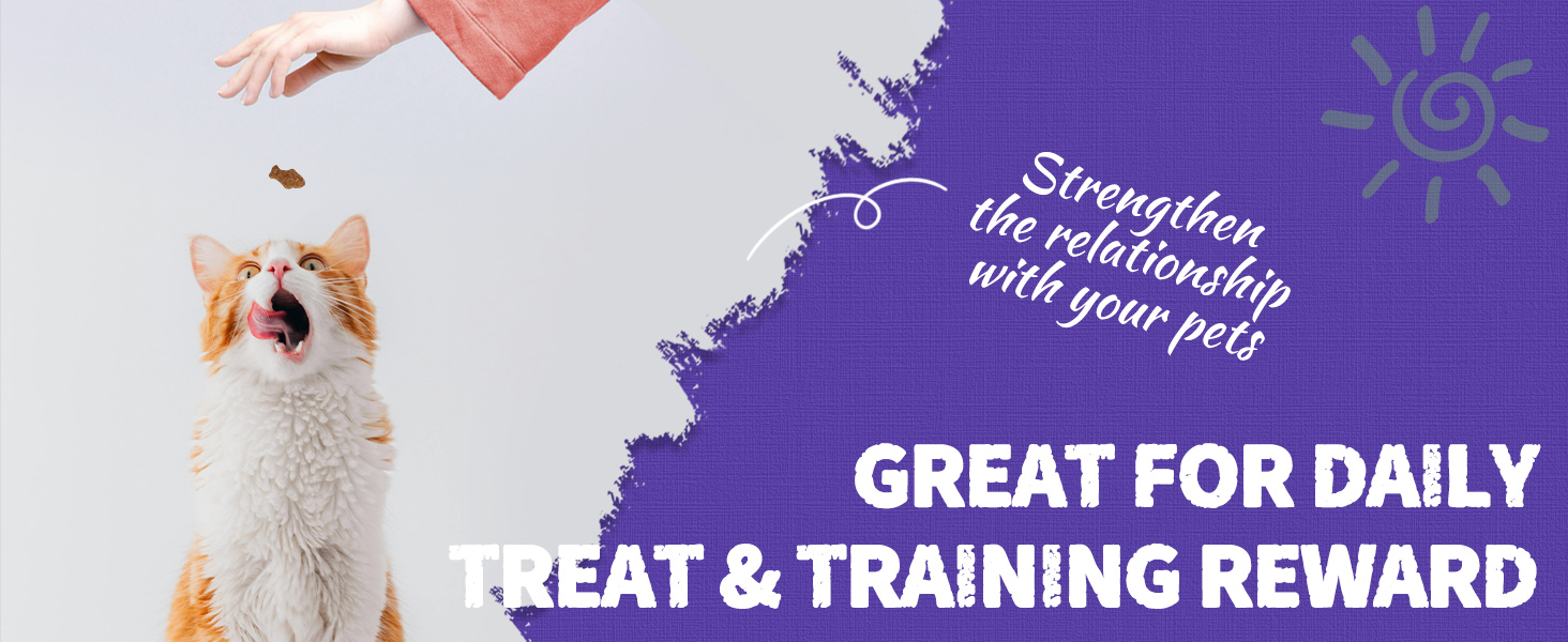 Blueberry Cat Treats for Indoor Cats