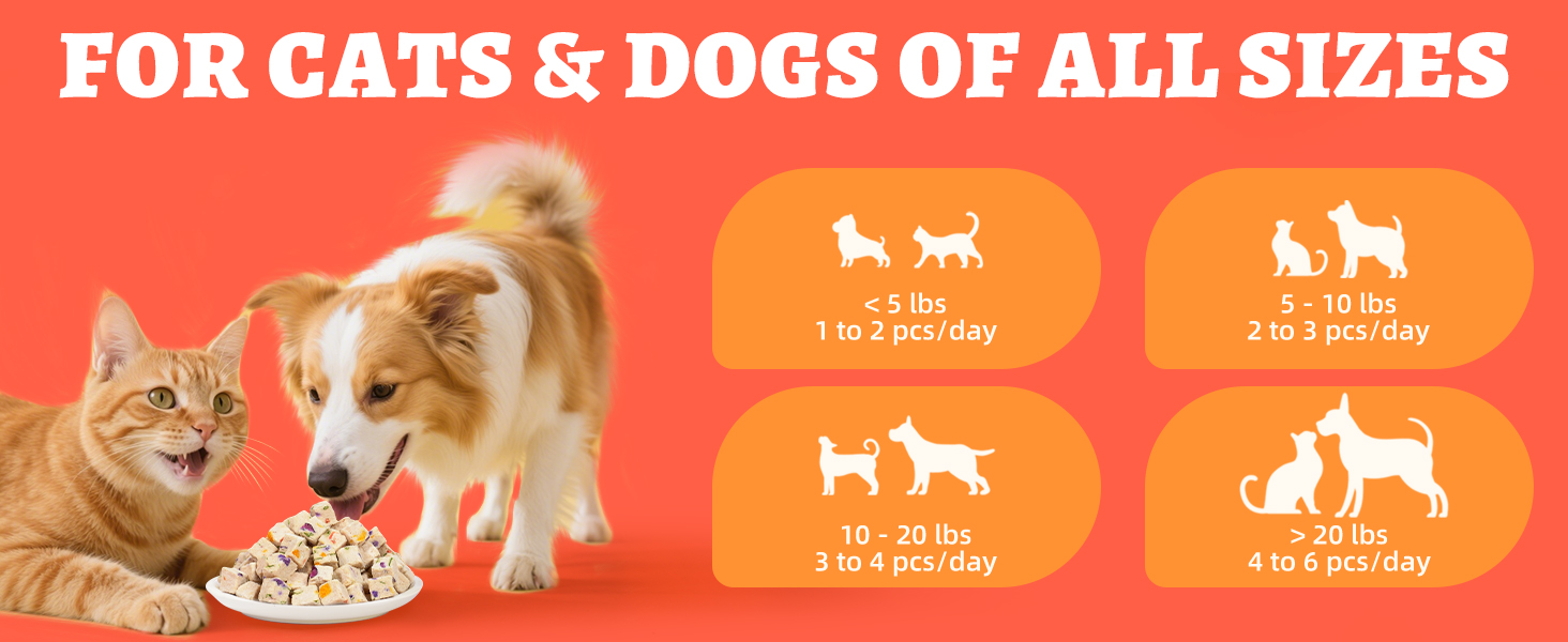 cat chicken freeze dried treats