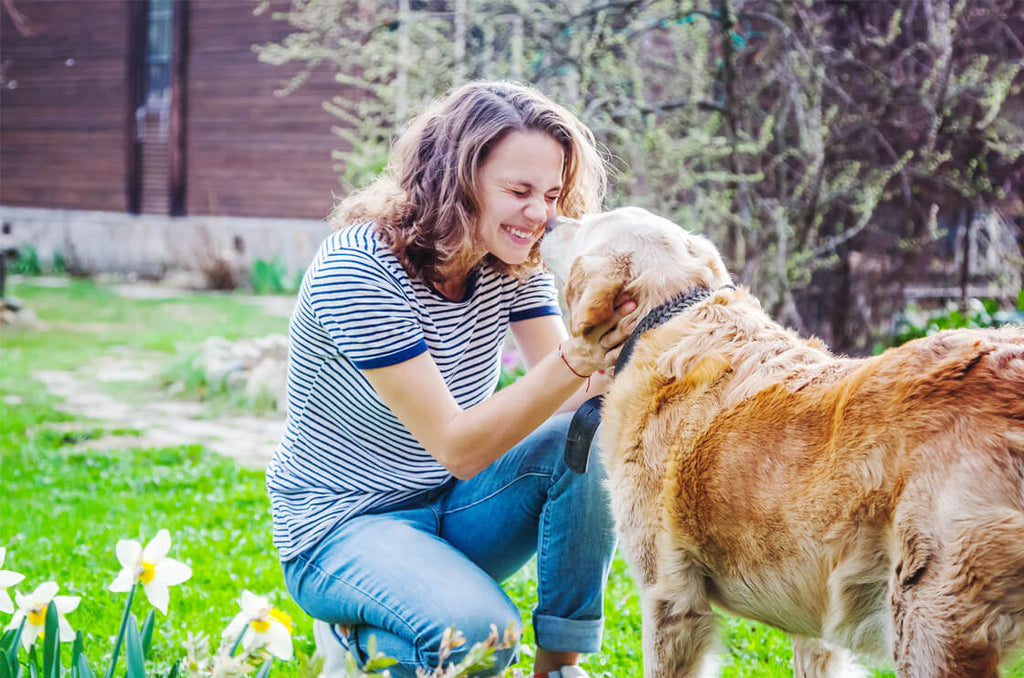 joint pain hip dysplasia