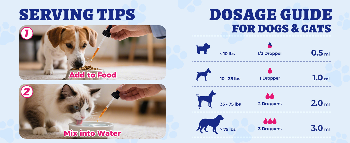 urinary tract &amp; kidney for cats