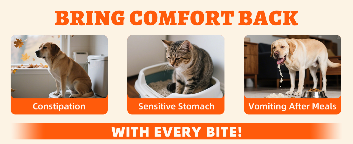 cat treats freeze dried chicken