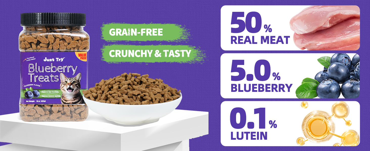 Blueberry Cat Treats for Indoor Cats