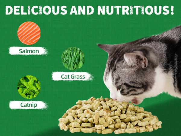 JUST TRY 13.4 OZ Cat Grass Treats Natural Salmon Flavor Healthy Cat Snacks Training Biscuits Catnip for Cats Dental and Hairball Control Treats