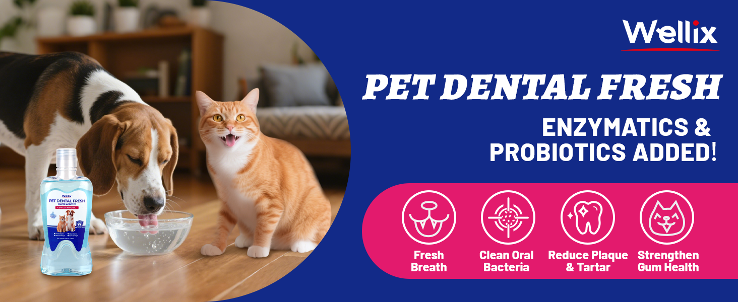 dog breath freshener