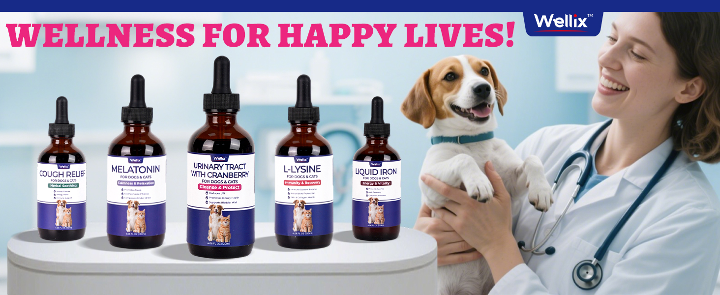 best cat food for uti health