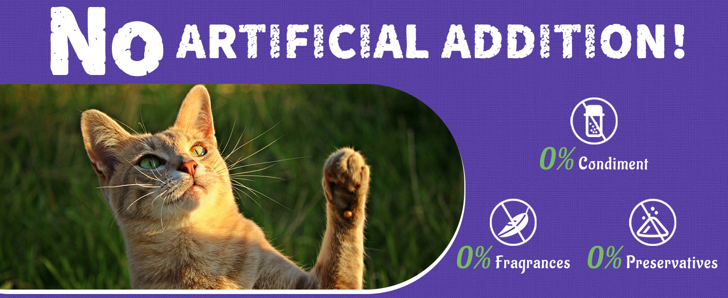 Blueberry Cat Treats for Indoor Cats