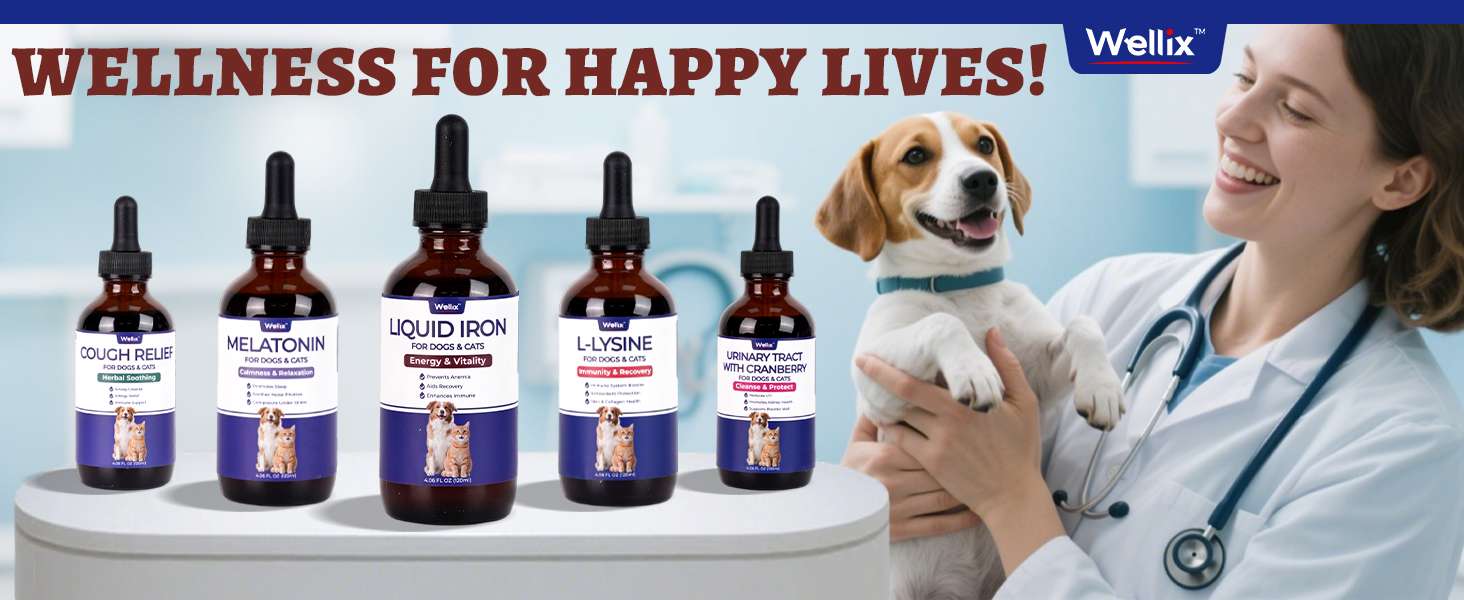 liquid iron supplements for anemia