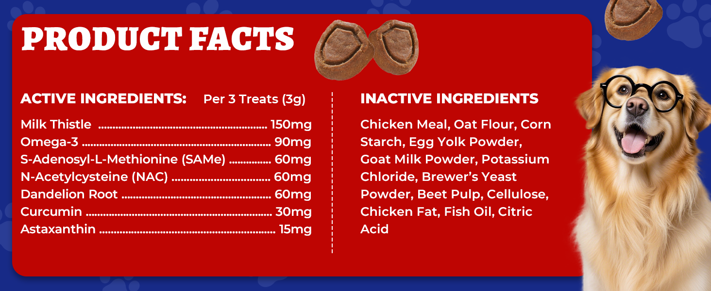 dog is human multivitamin