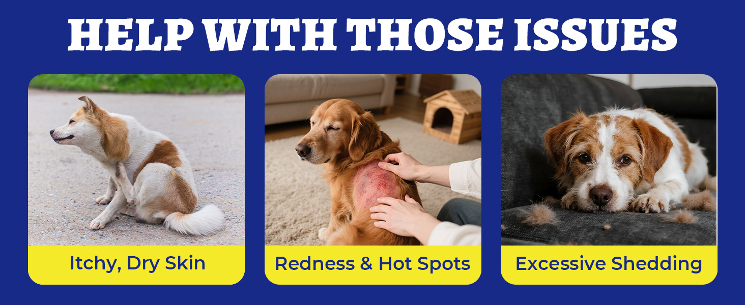 dog coat supplement chews