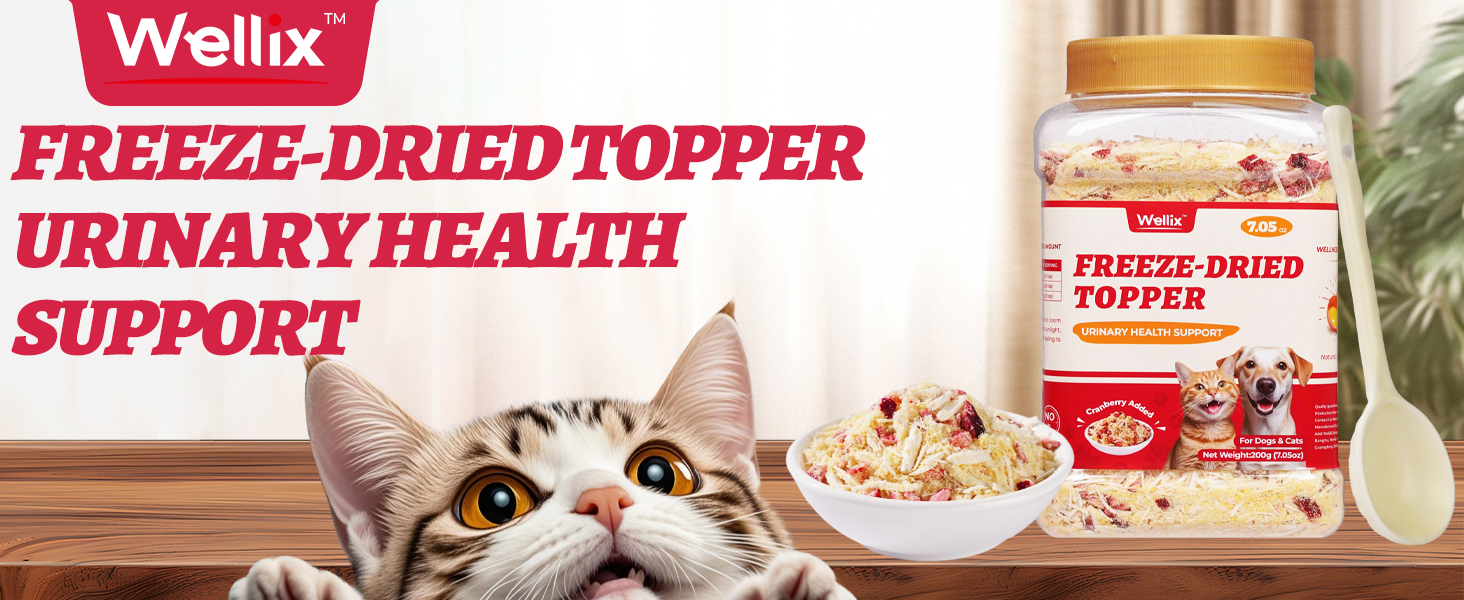 dog food toppers for picky eaters