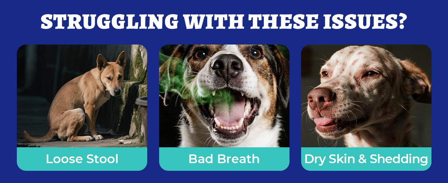 probi&oacute;ticos para perros