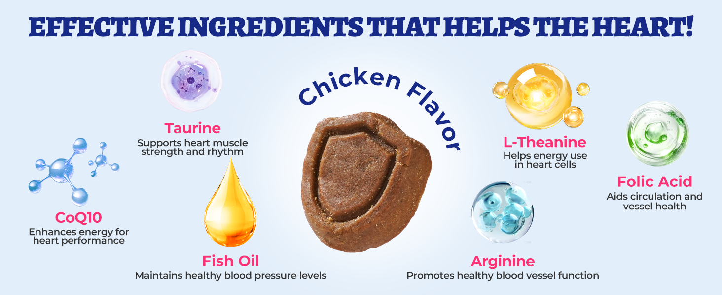 dog vitamins multivitamin