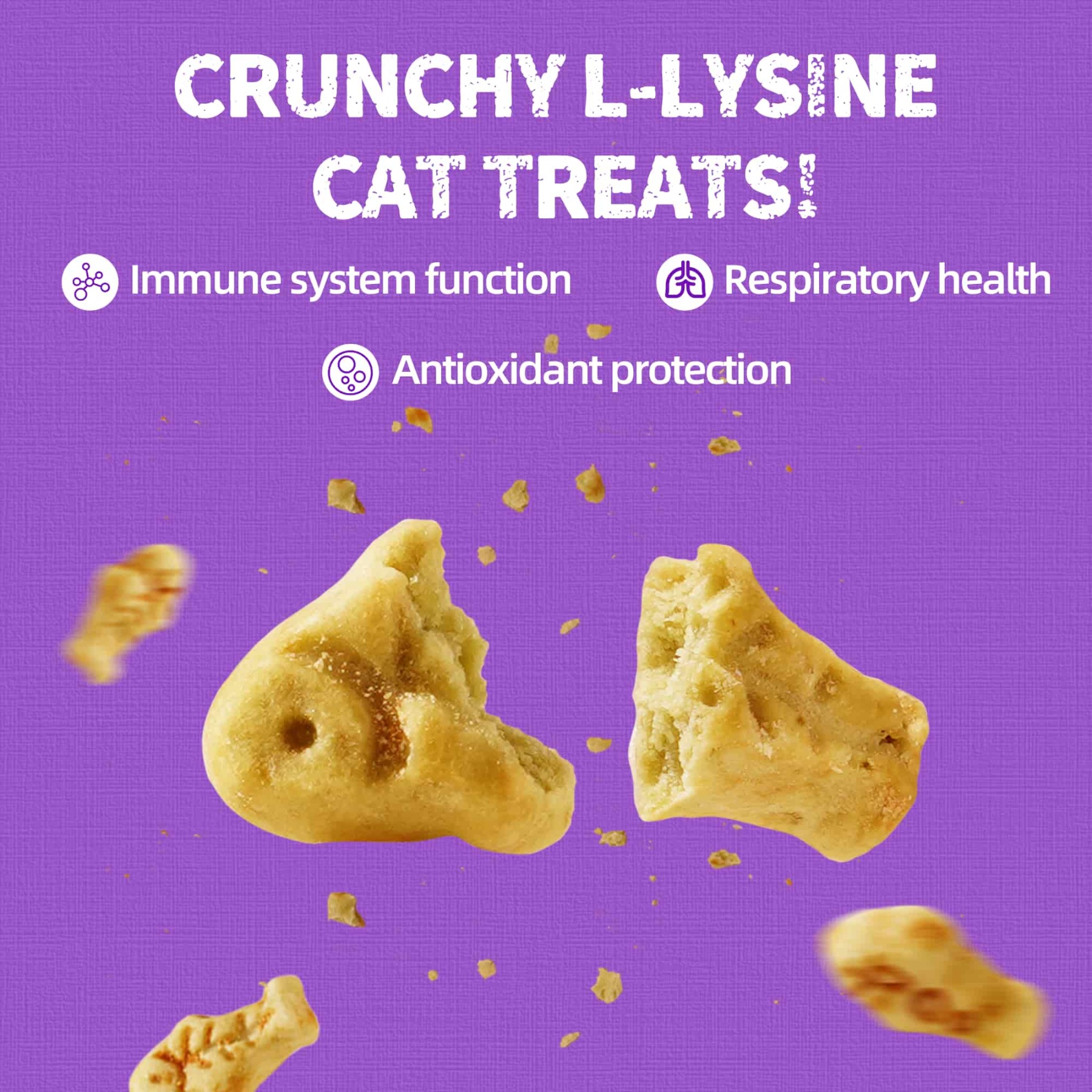 JUSTTRY Lysine Cat Treats – Natural Salmon Crunchy Training Biscuits for Immune Support, Cats & Kittens, 13.4oz-CritterCorner
