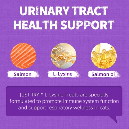 JUSTTRY Lysine Cat Treats – Natural Salmon Crunchy Training Biscuits for Immune Support, Cats & Kittens, 13.4oz-CritterCorner