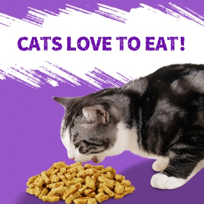 JUSTTRY Lysine Cat Treats – Natural Salmon Crunchy Training Biscuits for Immune Support, Cats & Kittens, 13.4oz-CritterCorner