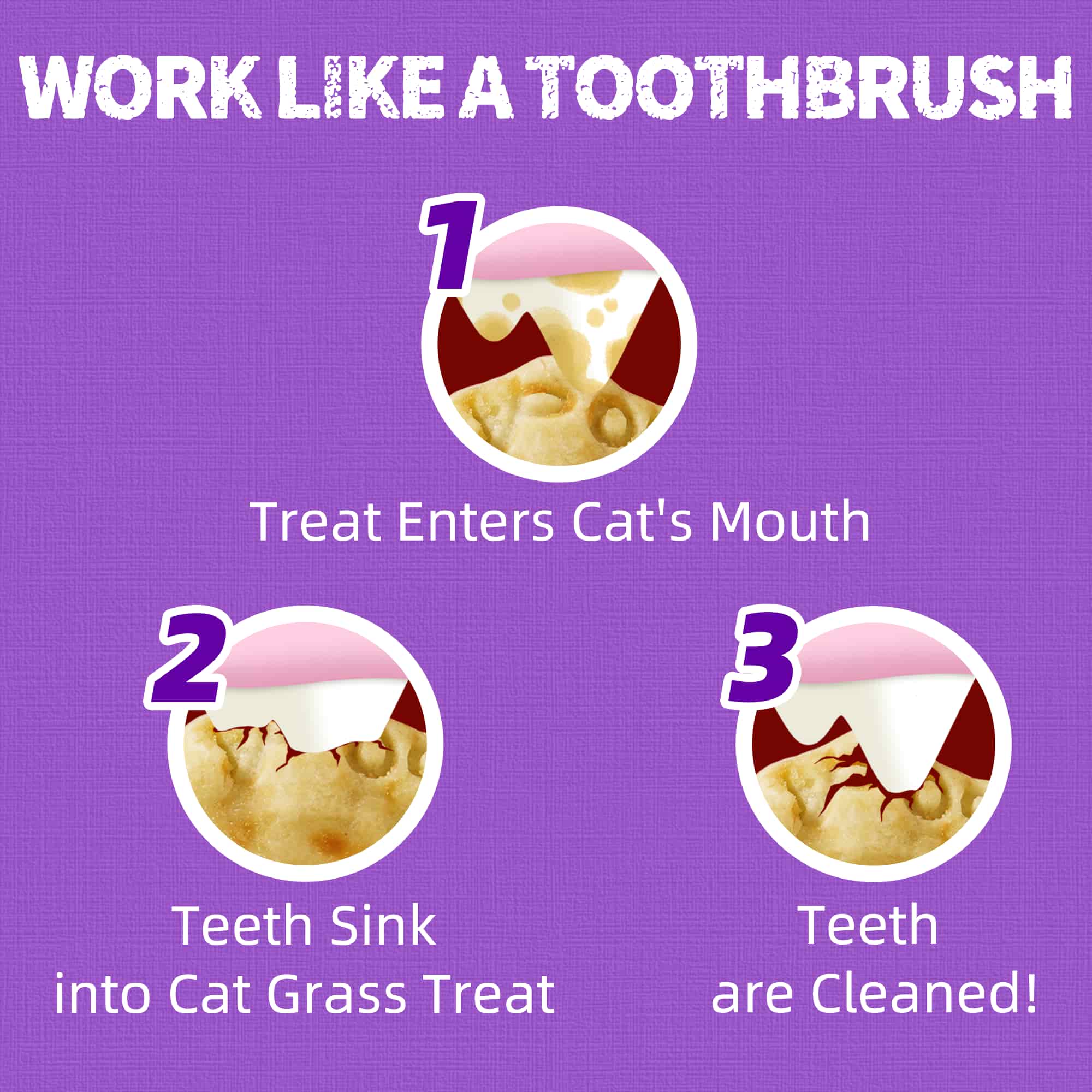 JUSTTRY Lysine Cat Treats – Natural Salmon Crunchy Training Biscuits for Immune Support, Cats & Kittens, 13.4oz-CritterCorner