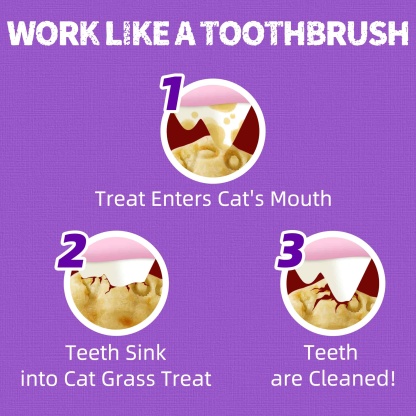 JUSTTRY Lysine Cat Treats – Natural Salmon Crunchy Training Biscuits for Immune Support, Cats & Kittens, 13.4oz-CritterCorner