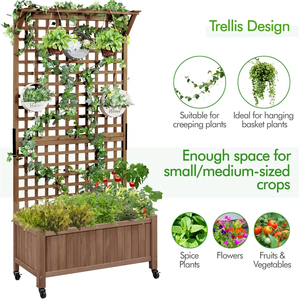 75/50" H Horticulture Garden Planter with Trellis for Vine Climbing Plants Garden Box Outdoor w/Drainage Holes Raised Garden Bed Garden Planter Box for Flowers