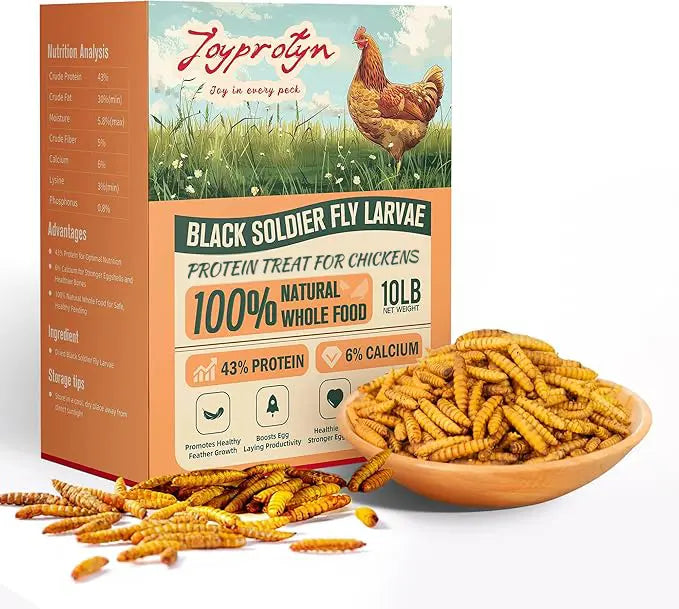 Dried Black Soldier Fly Larvae