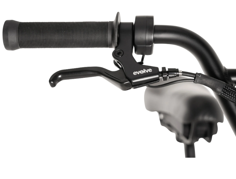 Evolve Electric Bicycle