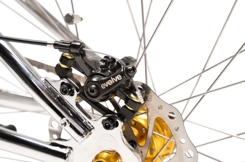 Evolve Electric Bicycle