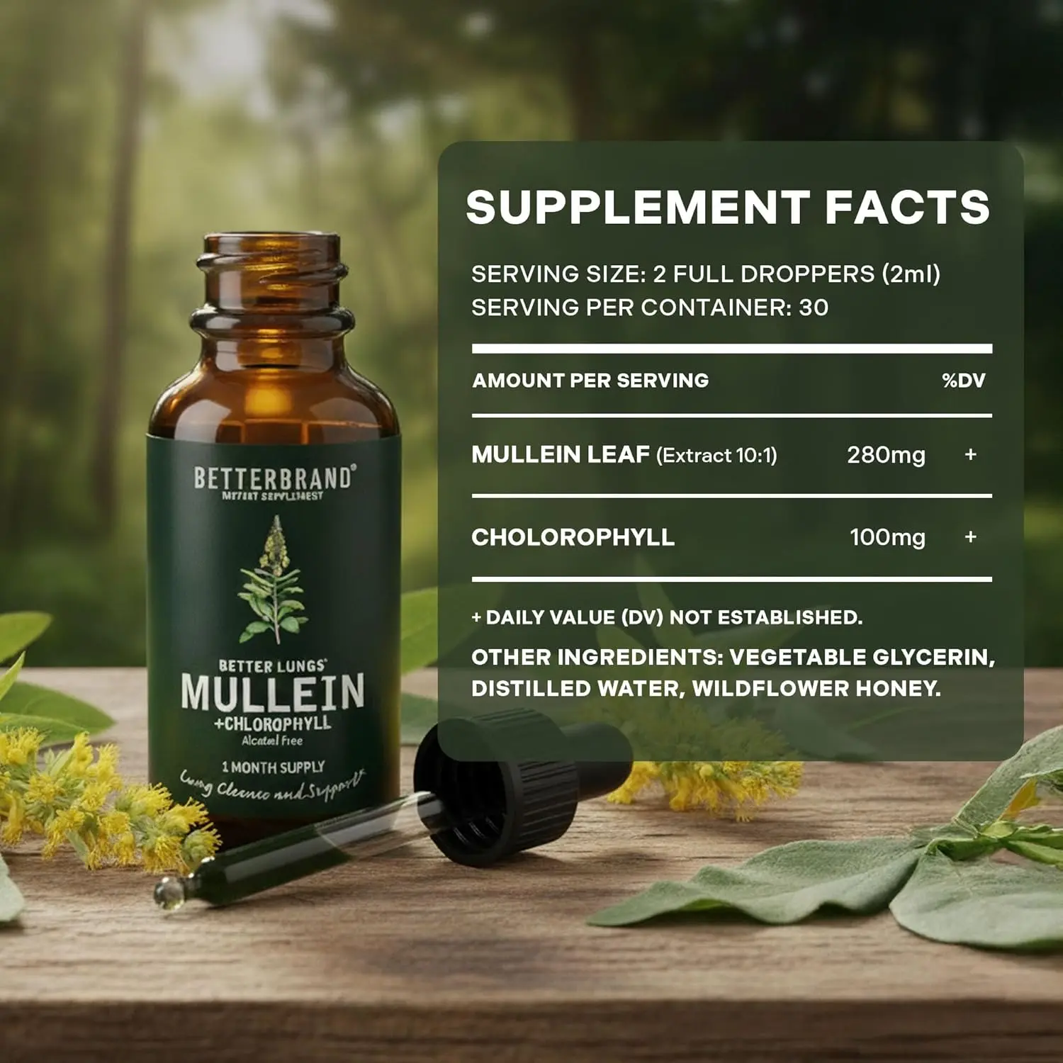 Leaf & Chlorophyll Drops - Lung Detox