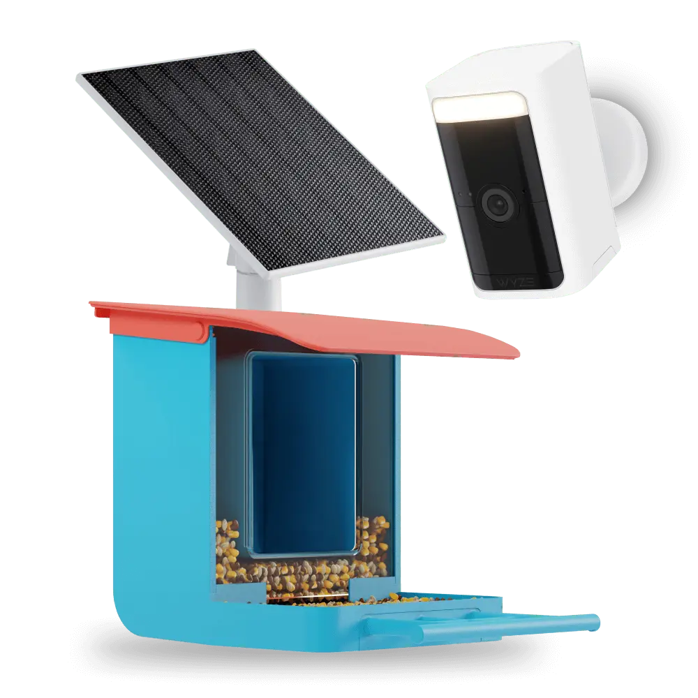 Smart Bird Feeder with Camera – Watch & Record HD Live Video of Birds Visiting Your Backyard Anytime