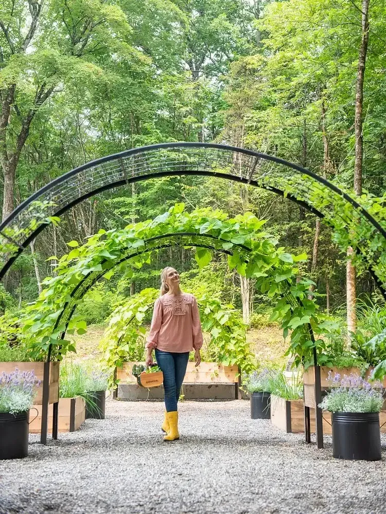 8' X 2' x 4' Self-Watering Eco-Stained Elevated Planter Box+ Arch Trellis