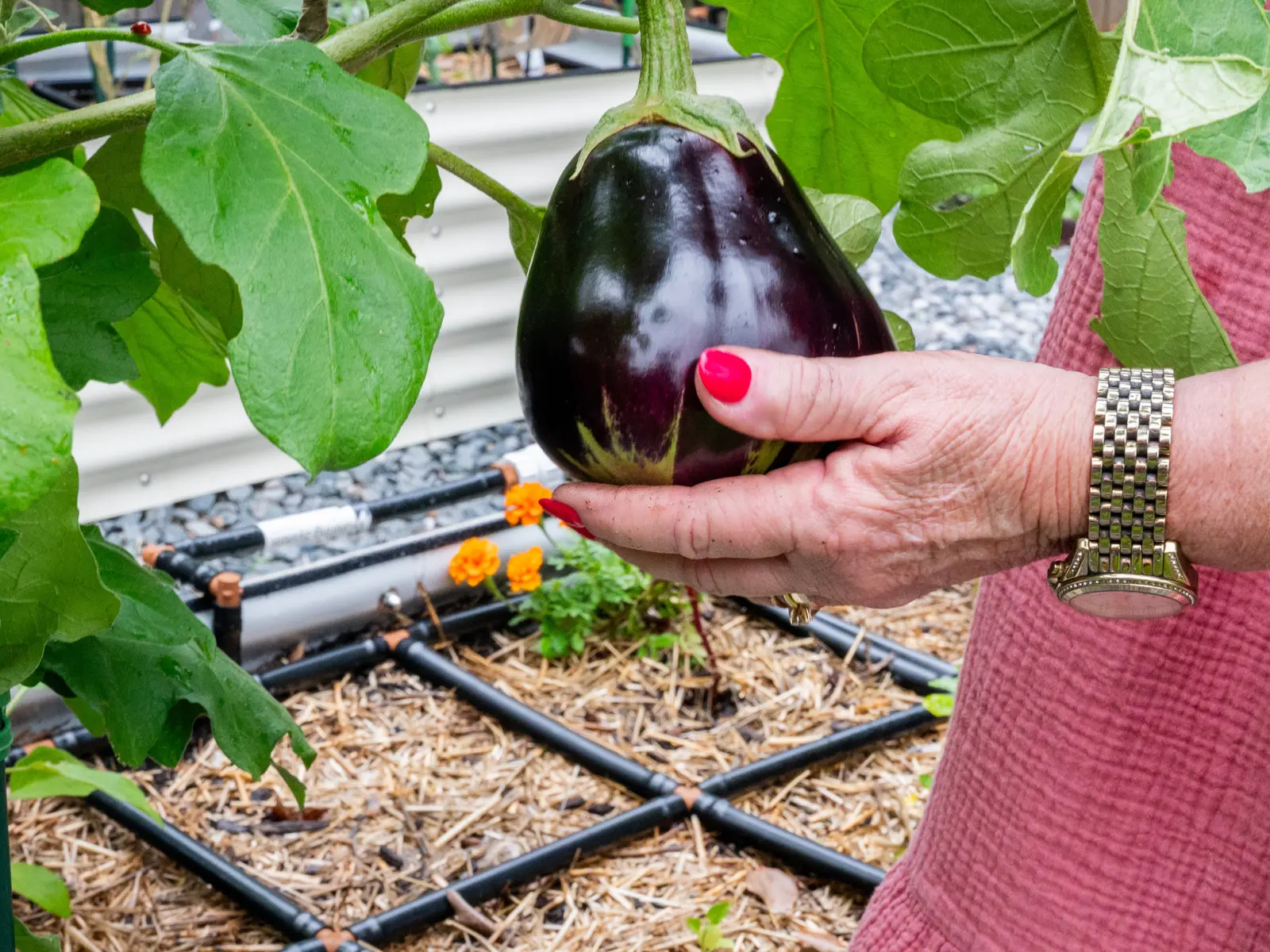 Garden Grid Watering Systems