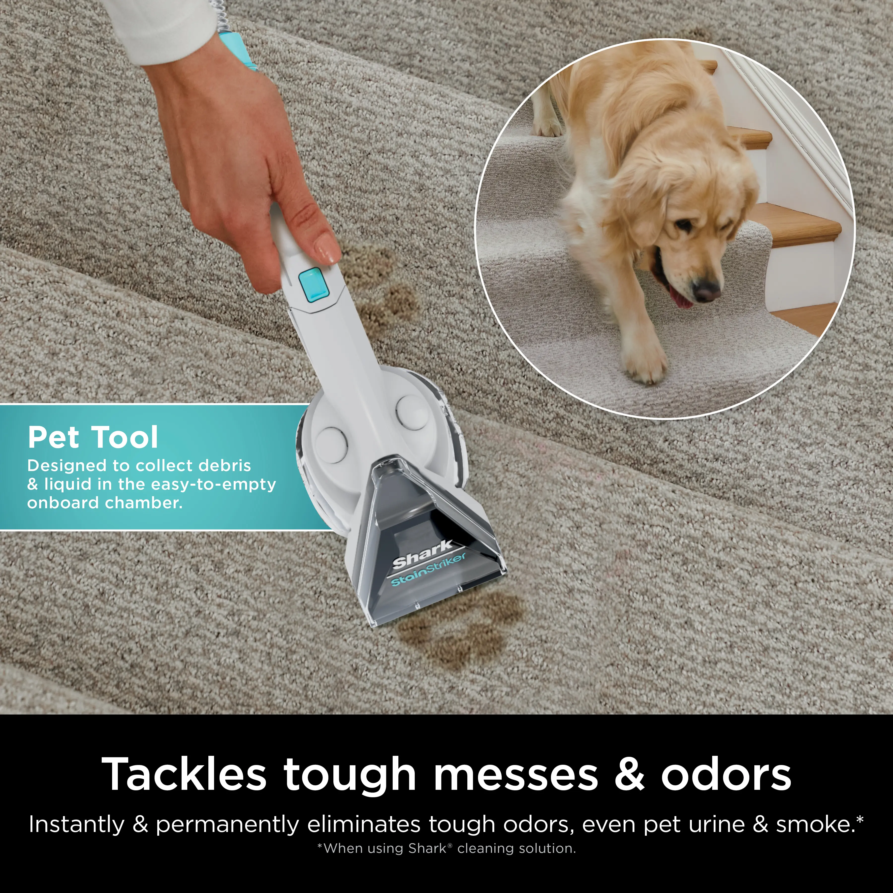 Shark CarpetXpert with StainstrikerUpright Deep Carpet Cleaner - EX201