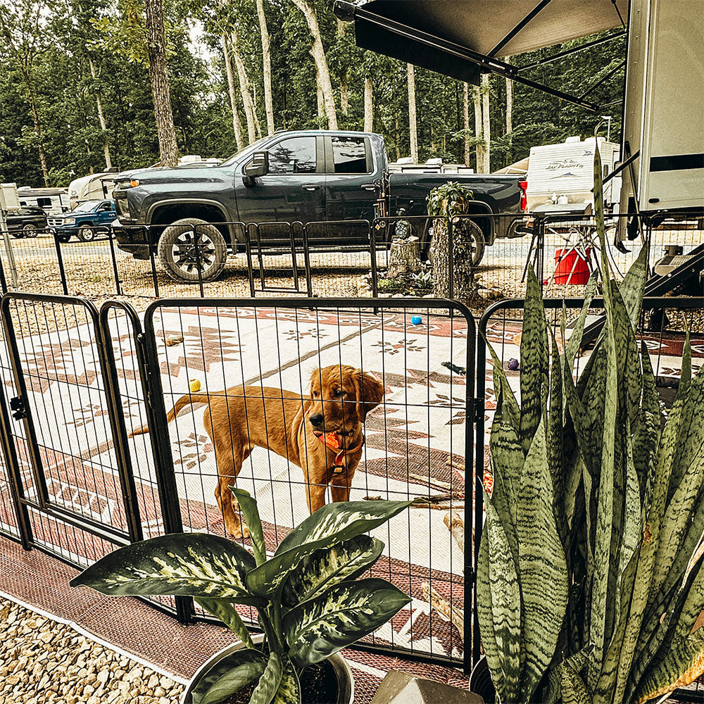 Dog Playpen – Quick Setup for RV Camping