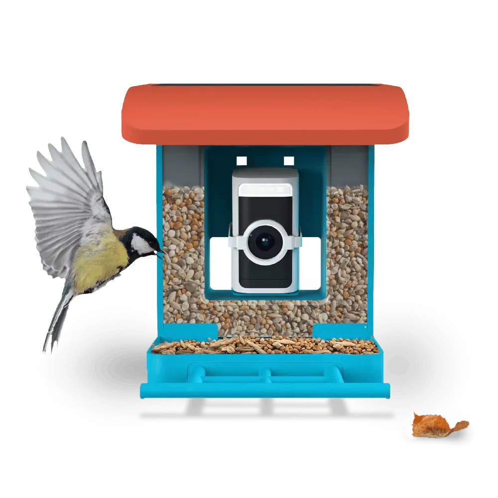 Smart Bird Feeder with Camera – Watch & Record HD Live Video of Birds Visiting Your Backyard Anytime