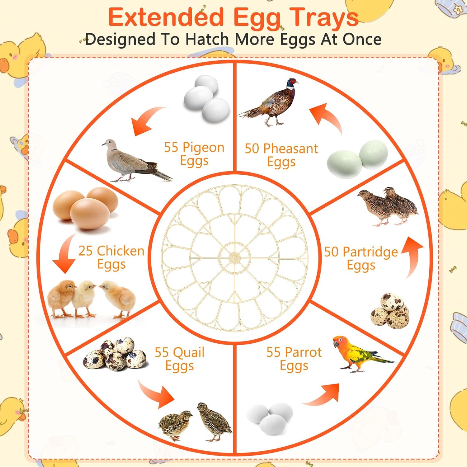 18 & 25 Egg Incubators for Hatching Eggs, Egg Incubator with Automatic Egg Turning and Humidity Control, Incubators for Hatching Eggs Chicken Quail Parrot Pigeon