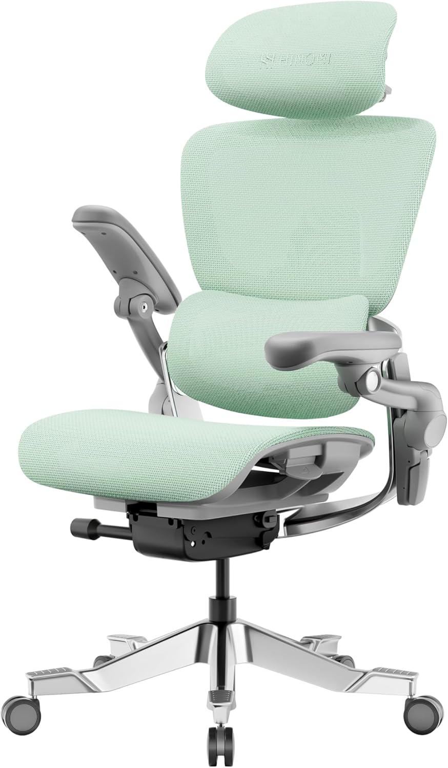 H2 Pro Premium Ergonomic Office Chair - Comfy Home Office Desk Computer Chair with Adjustable Back Support, Swivel Wheels, Flip-up Arms, Comfortable Mesh Seat for Desk Work