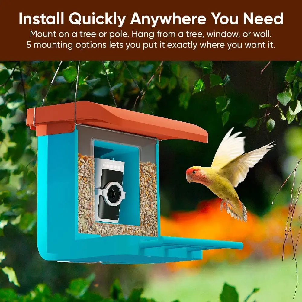Smart Bird Feeder with Camera – Watch & Record HD Live Video of Birds Visiting Your Backyard Anytime