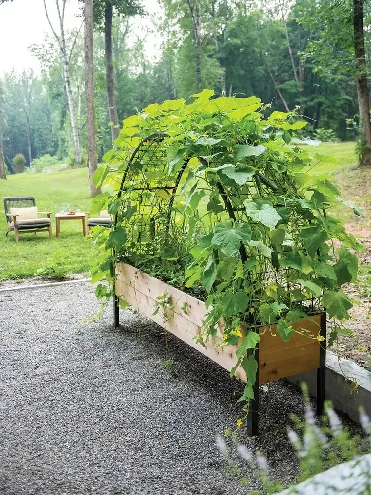 8' X 2' x 4' Self-Watering Eco-Stained Elevated Planter Box+ Arch Trellis