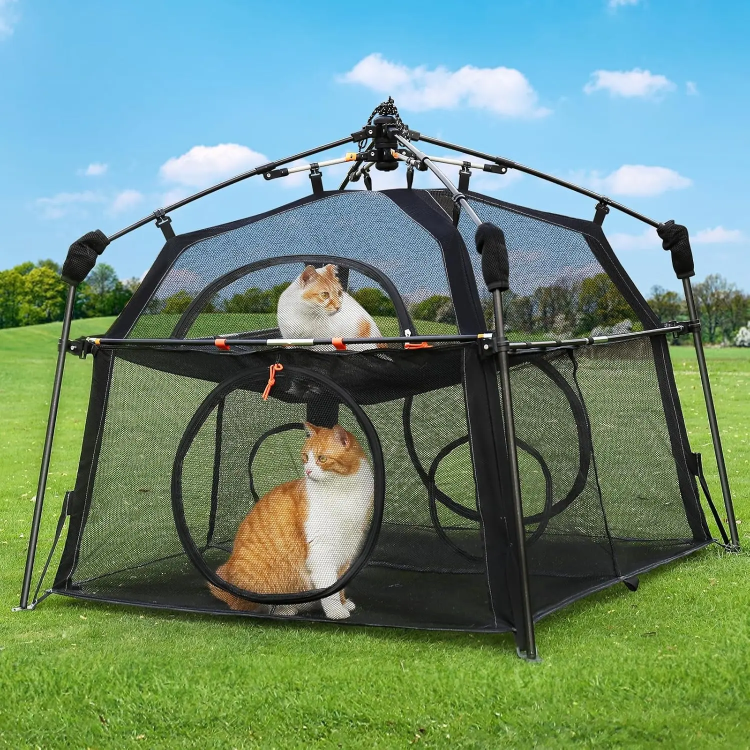 Extra Large Outdoor Cat Enclosure