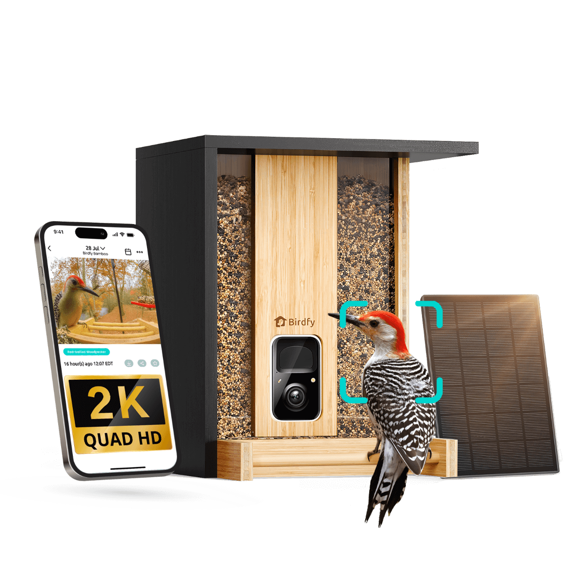 Feeder Bamboo - Smart Bird Feeder with Eco-friendly Material