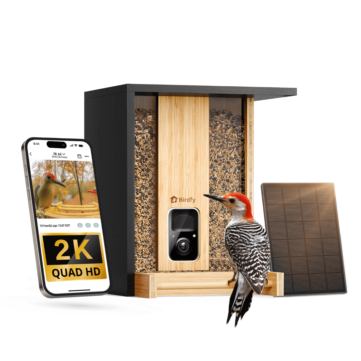 Feeder Bamboo - Smart Bird Feeder with Eco-friendly Material