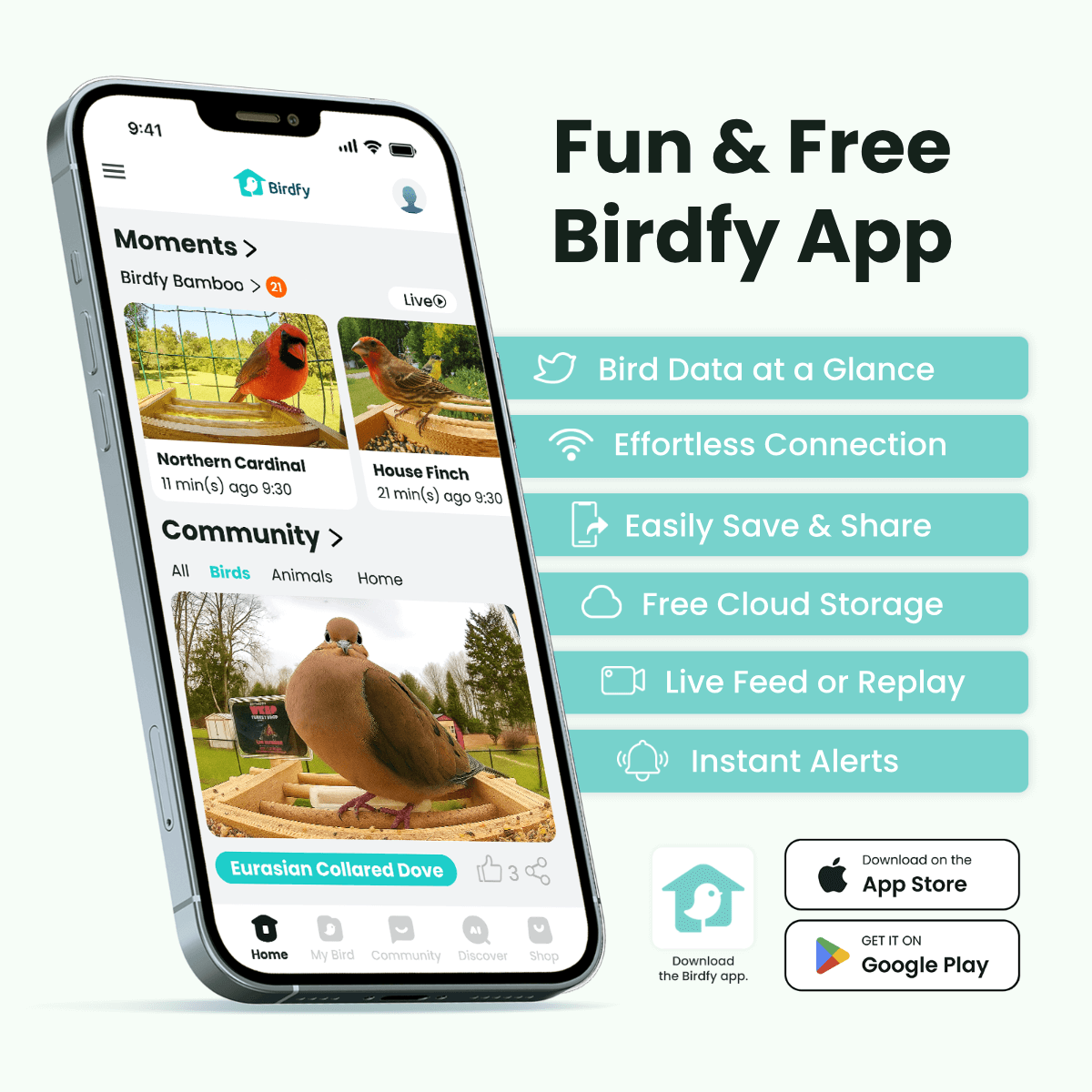 Feeder Bamboo - Smart Bird Feeder with Eco-friendly Material