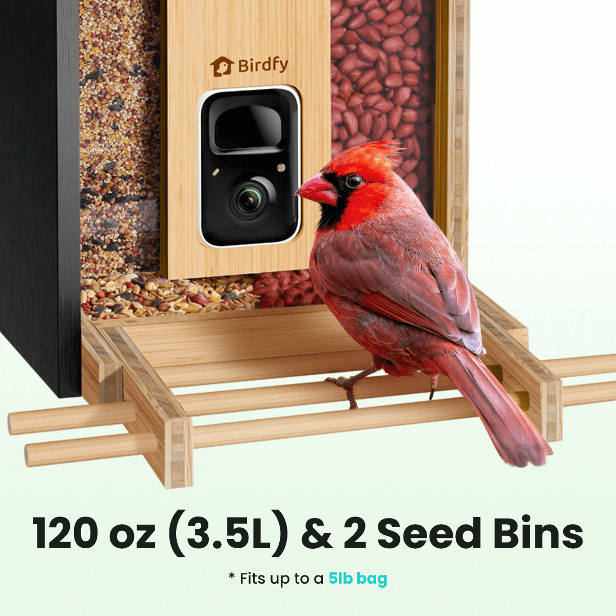 Feeder Bamboo - Smart Bird Feeder with Eco-friendly Material