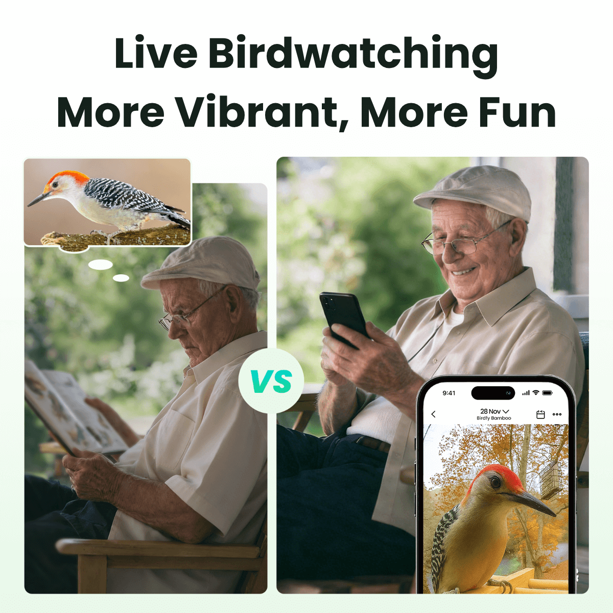 Feeder Bamboo - Smart Bird Feeder with Eco-friendly Material