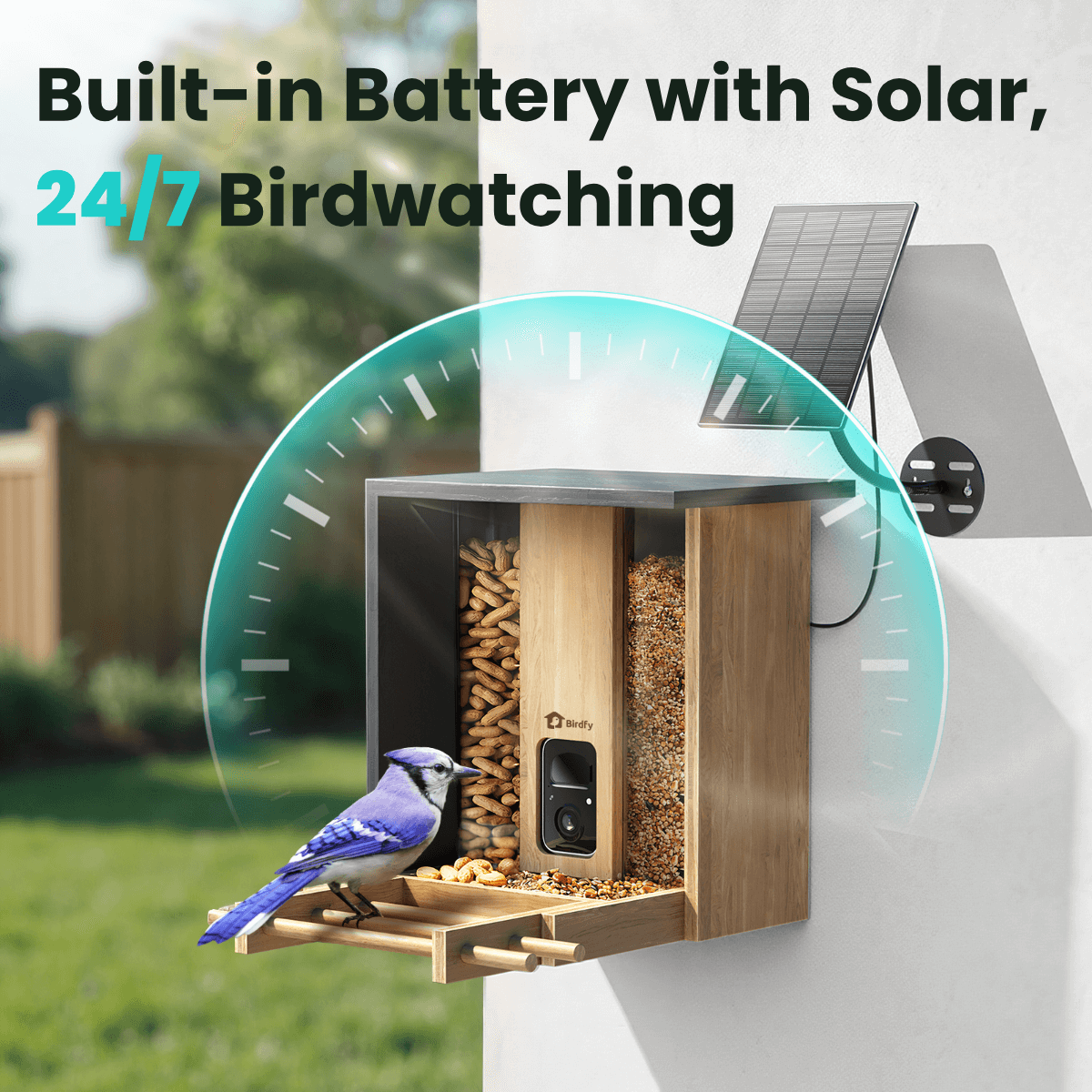 Feeder Bamboo - Smart Bird Feeder with Eco-friendly Material