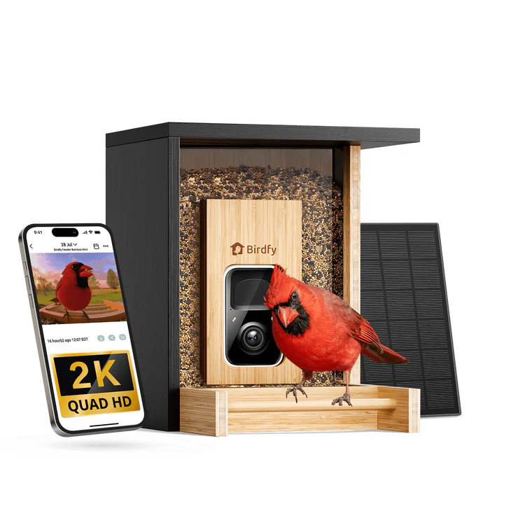 Feeder Bamboo - Smart Bird Feeder with Eco-friendly Material