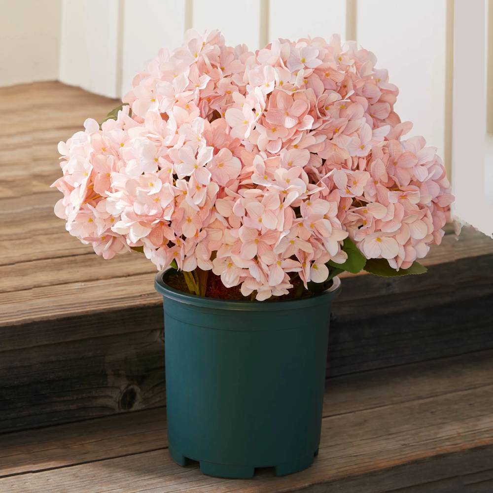 💥Last Day 70% OFF💐Artificial Outdoor Hydrangea Flowers - UV resistant, Waterproof, Windproof