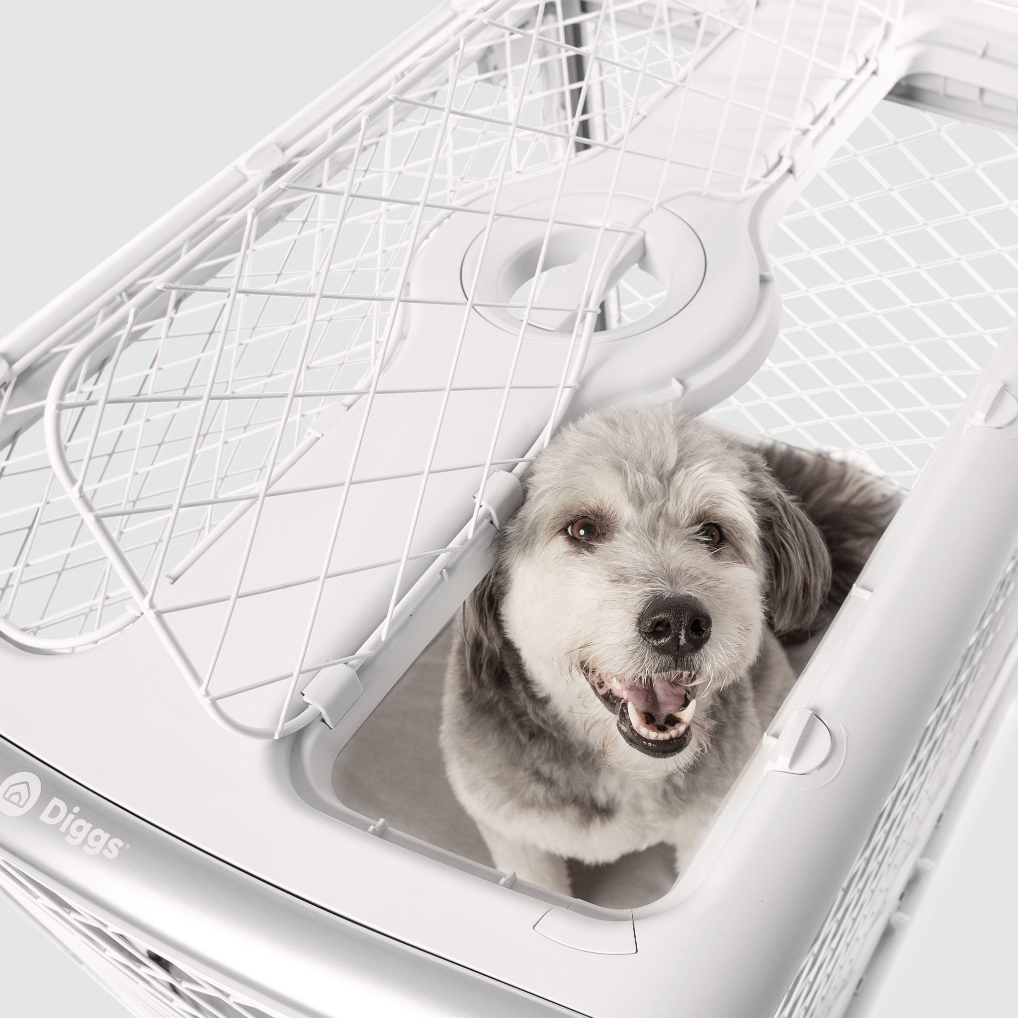 Collapsible Dog Crate with Wheels - Premium Portable Dog Crate - Safe, Stylish, and Convenient Indoor Kennel