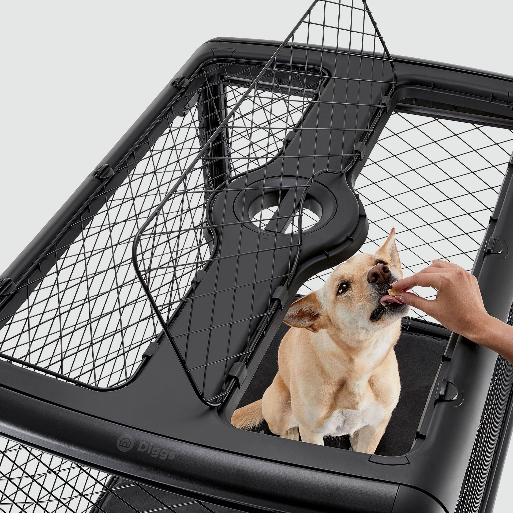Collapsible Dog Crate with Wheels - Premium Portable Dog Crate - Safe, Stylish, and Convenient Indoor Kennel