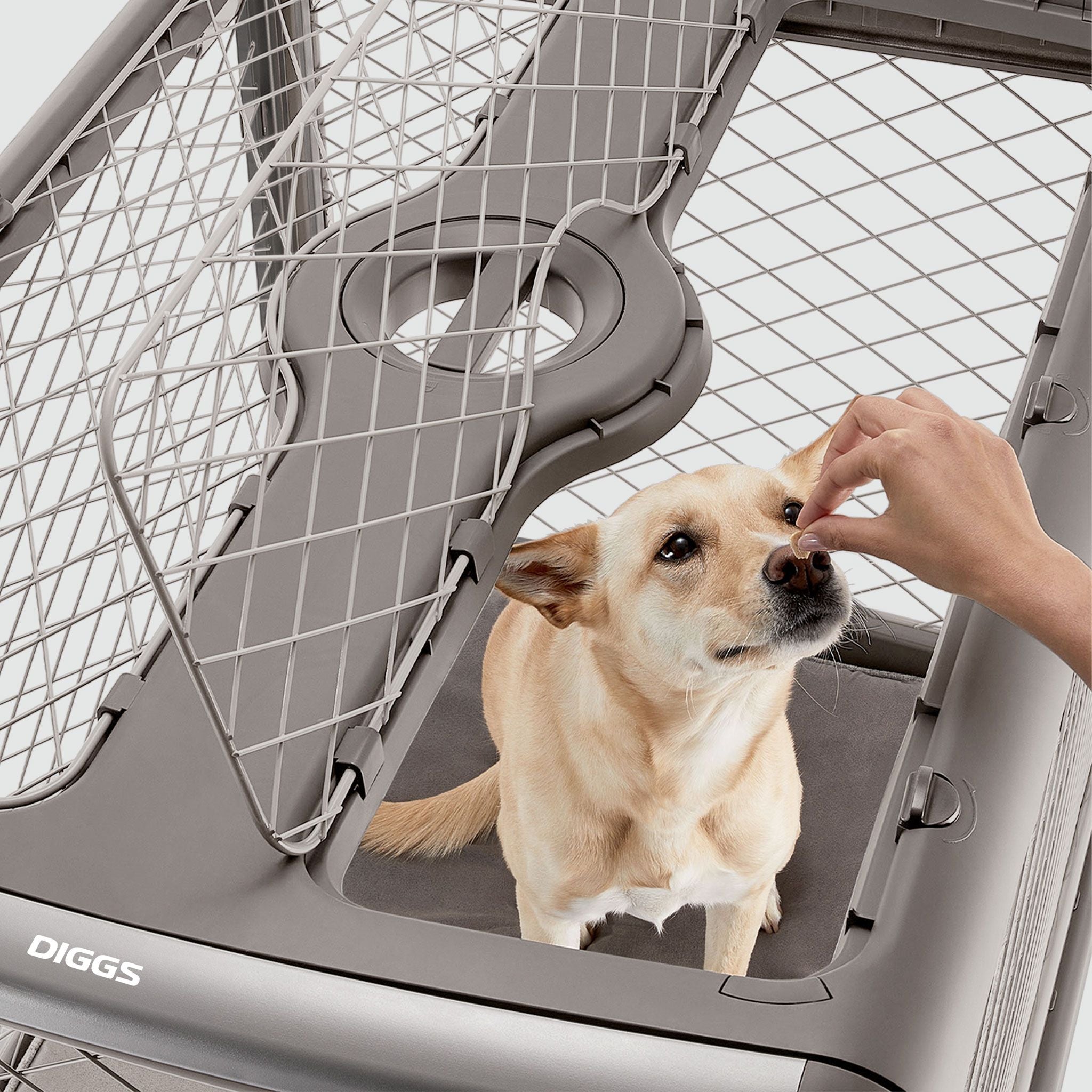Collapsible Dog Crate with Wheels - Premium Portable Dog Crate - Safe, Stylish, and Convenient Indoor Kennel